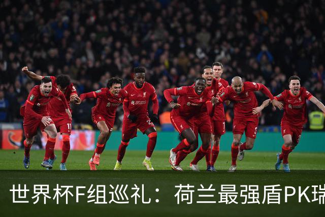 世界杯F组巡礼：荷兰最强盾PK瑞典犀利刀 日本短板明显